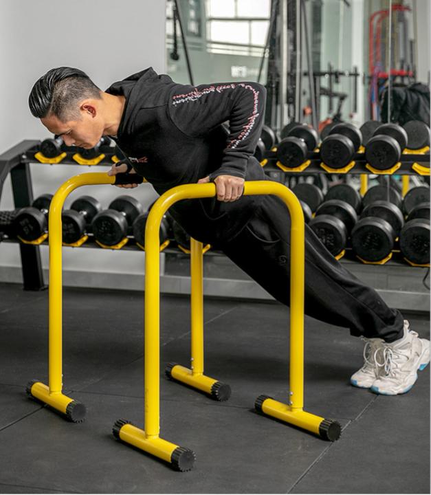 Adjustable Dip Bar Station