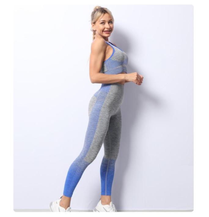 Seamless Knitted Yoga Suit