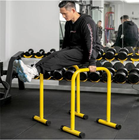 Adjustable Dip Bar Station
